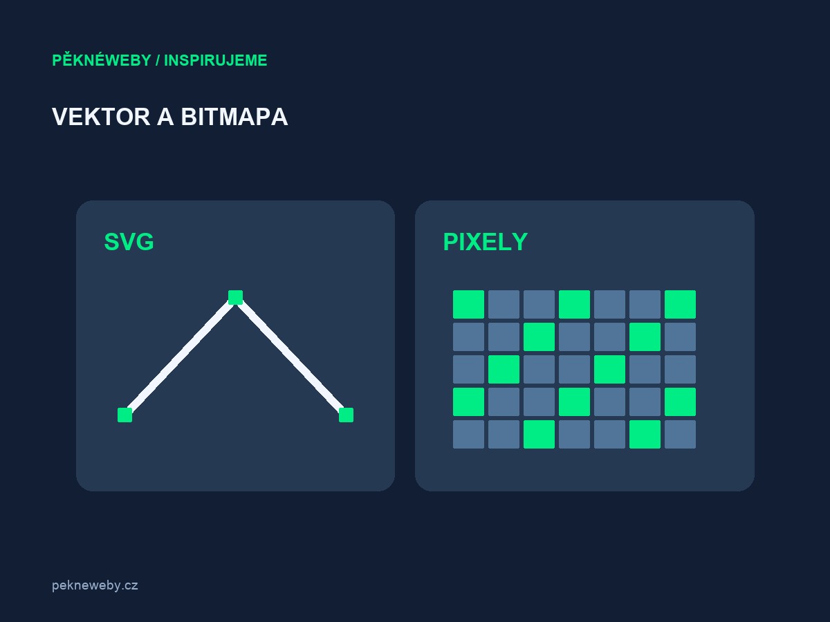 Vektor nebo bitmapa?