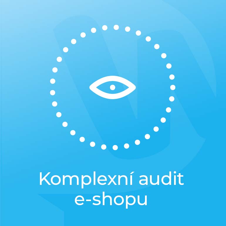 Komplexní audit e-shopu