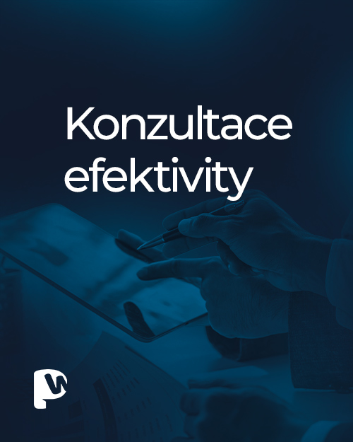 Konzultace efektivity